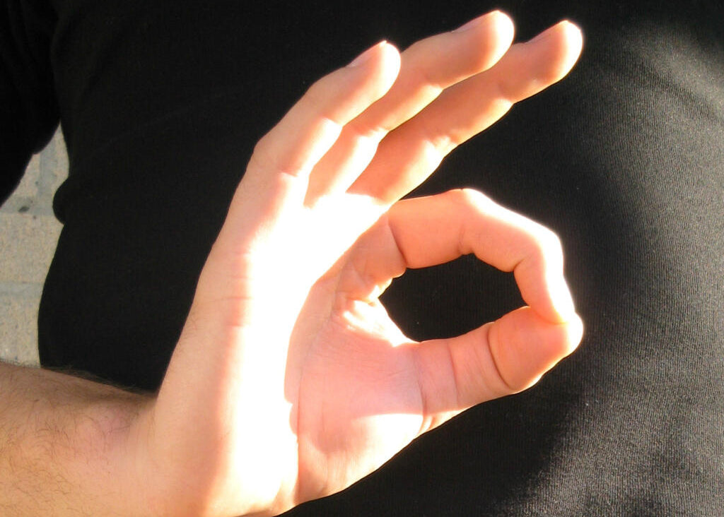 Fingerkodning hos Sol-Farah Helhedens Cirkel