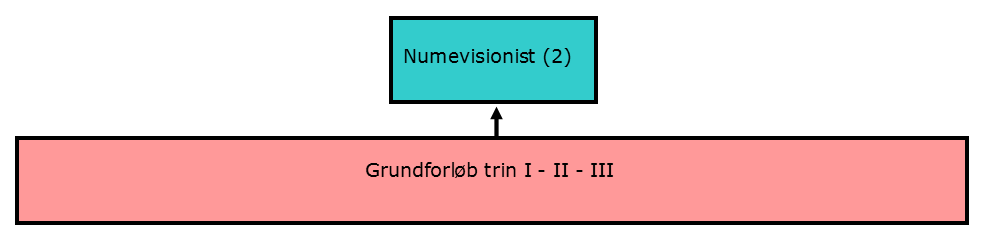 Numevisionist