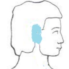 Ozelia Ear Healing
