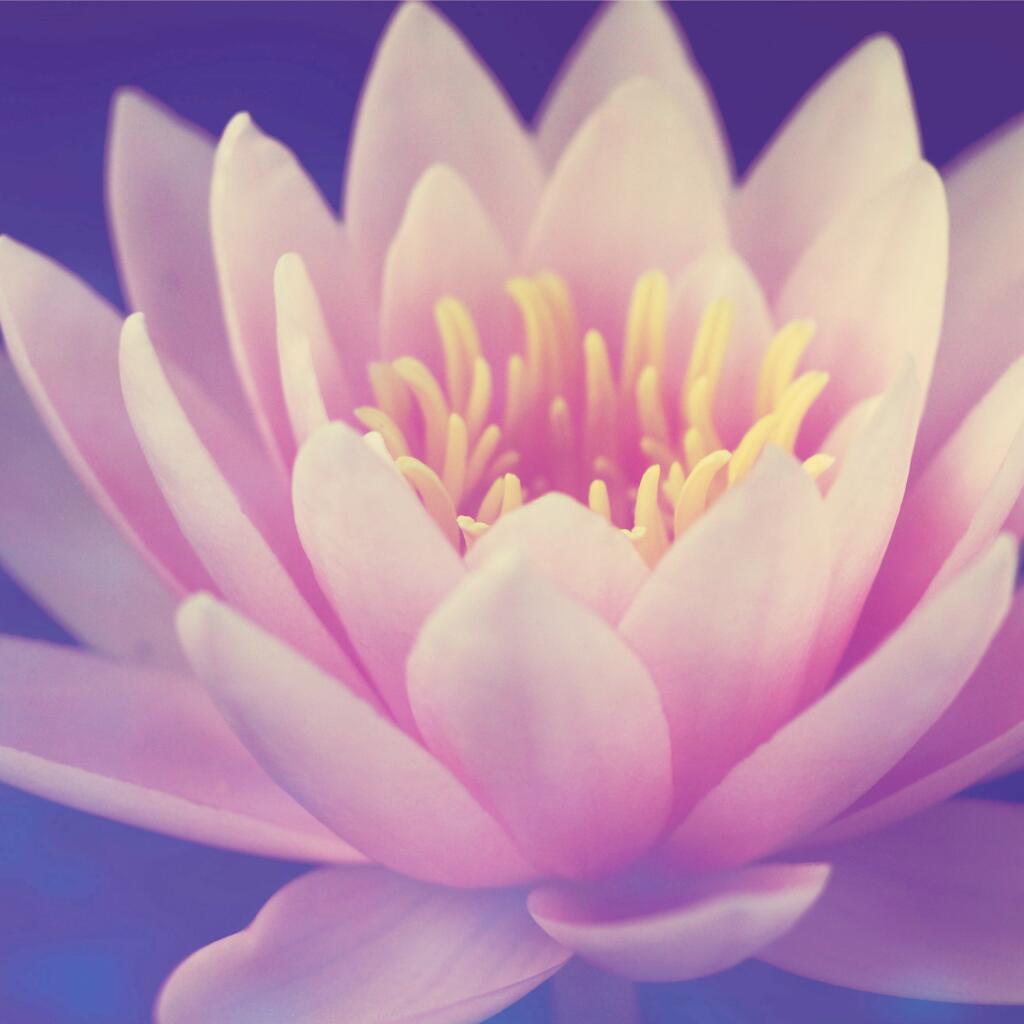 New Spiritual Master