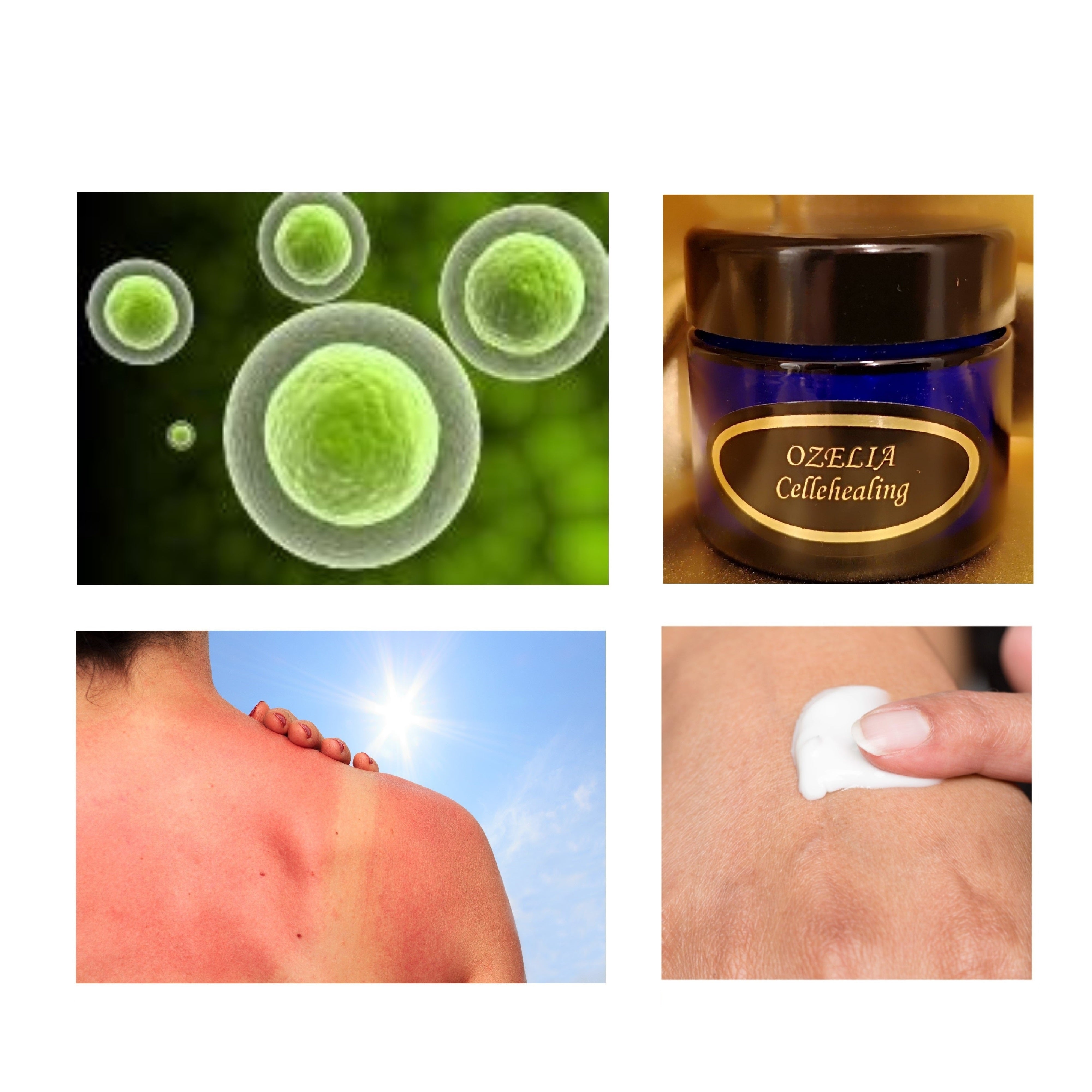 Ozelia Cellehealing