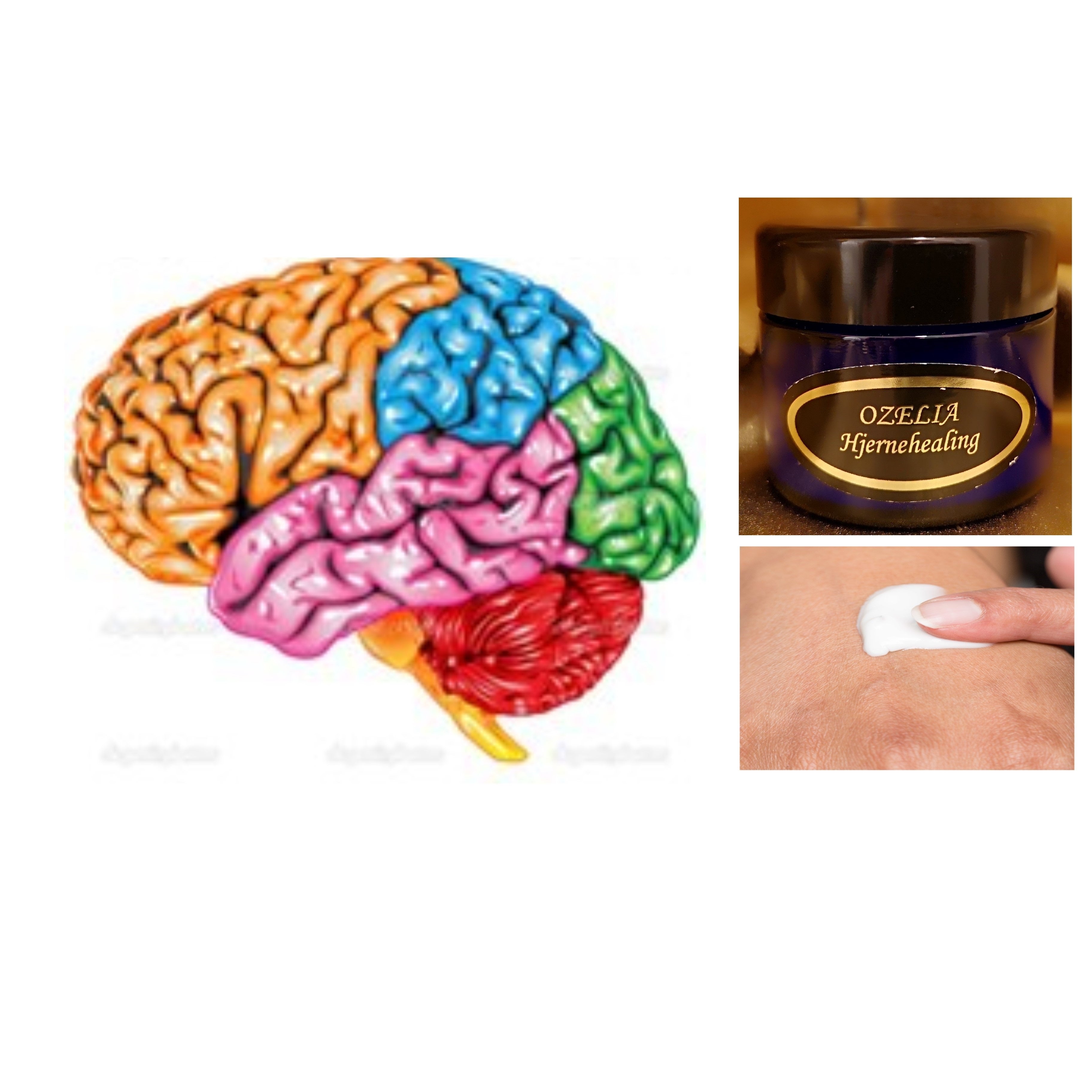 Ozelia Hjernehealing