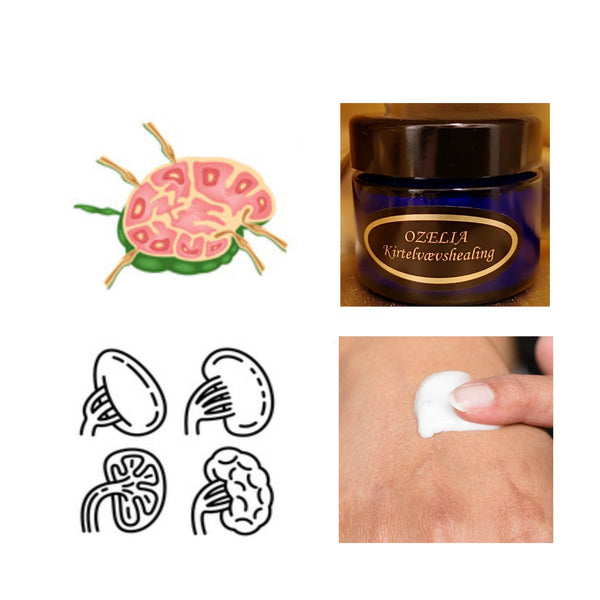 Ozelia Glandular Tissue Healing